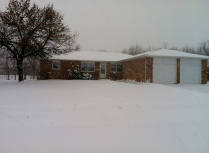 Our 1/2 house in Springfield, IL